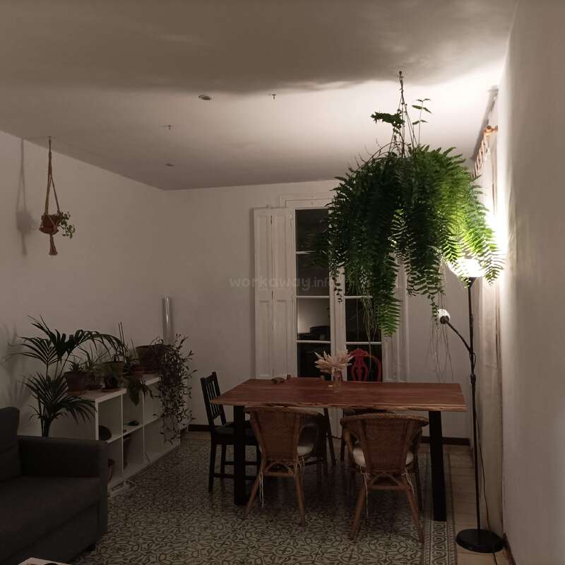 Uma sala de jantar aconchegante com uma mesa de madeira, cadeiras de vime, plantas domésticas em prateleiras, uma samambaia pendurada, ladrilhos estampados no piso, iluminação suave e paredes brancas criam aconchego.