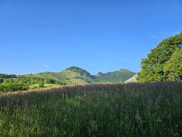 Im Vordergrund erstreckt sich eine saftig grüne Wiese, auf der sich hohes Gras wiegt. Sanfte Hügel und Berge erheben sich unter einem klaren, strahlend blauen Himmel - friedlich und hell.