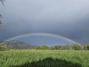 Ein leuchtender Regenbogen spannt sich über ein grünes Feld mit Bäumen und einem entfernten Hügel und bildet einen schönen Kontrast zu einem dramatischen, dunklen Wolkenhimmel im Hintergrund.