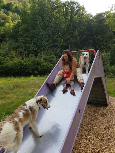 A woman and child are sliding down a playground slide, accompanied by two happy dogs. Surrounded by green trees, the scene is lively and joyful outdoors.