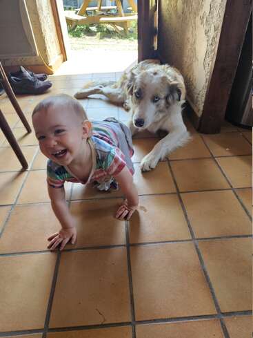 A happy baby crawls on a tiled floor while a fluffy dog with blue eyes lies behind, both enjoying the sunlight coming through an open doorway.