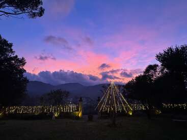 Ein wunderschöner Abendhimmel in Rosa- und Violetttönen taucht einen Garten in Licht, der mit funkelnden Lichterketten, einer baumförmigen Installation und den Silhouetten von Bäumen und Bergen in der Umgebung geschmückt ist.