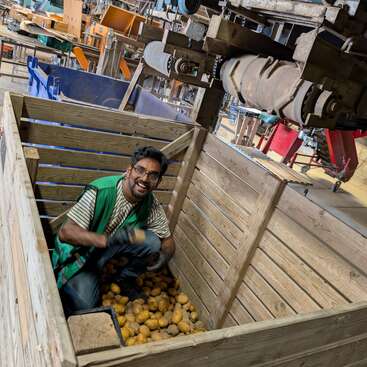 Un homme souriant, vêtu d'un gilet vert, est assis à l'intérieur d'une grande caisse en bois remplie de pommes de terre, dans ce qui semble être un environnement industriel ou une usine.