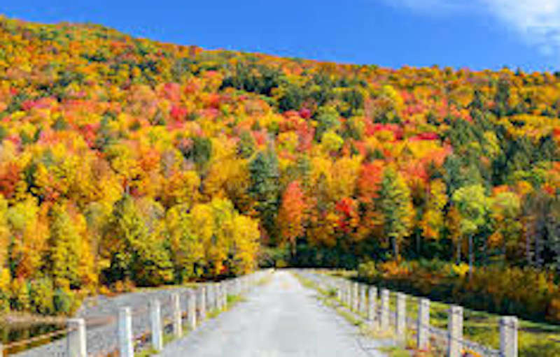 Summer in Vermont is special!