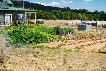 L'image représente une scène de jardin sereine, avec une maison au toit vert, des plantes luxuriantes et une clôture grillagée, sur fond d'arbres et de ciel bleu.