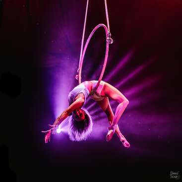 A female aerialist performs an acrobatic pose on a suspended hoop, illuminated by dramatic pink and purple stage lights against a dark background, showcasing strength and grace.