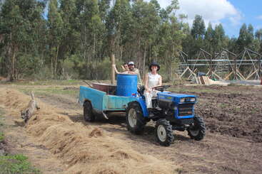 Uma mulher dirige um trator azul puxando um reboque com um homem. Um cachorro corre por perto. Eles estão cultivando em uma área rural com árvores e construções.