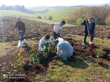 La imagen muestra a cinco personas plantando árboles en un campo, con un paisaje sereno de colinas onduladas y árboles de fondo en un día soleado.