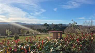 A small cabin sits in a lush, green field surrounded by plants and trees, under a bright blue sky with scattered clouds and distant hills.