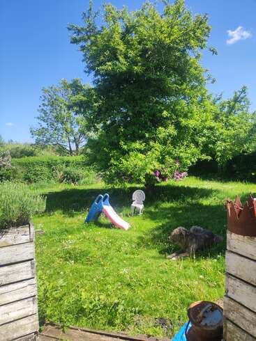 Un jardin ensoleillé avec une pelouse verdoyante, de grands arbres, un toboggan en plastique, une chaise blanche et un chien allongé paisiblement à l'ombre. Un ciel bleu.