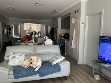 A yellow Labrador rests on a light blue couch in a cozy, slightly cluttered living room. Tennis is playing on the TV, and a kitchen is visible.