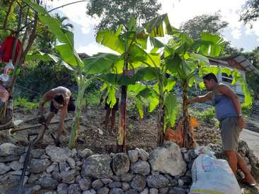 Das Bild zeigt zwei Männer, die in einem Garten arbeiten, der von Bananenstauden und Steinen umgeben ist. Der eine Mann gräbt, während der andere in der Nähe steht und mit Gartenarbeit beschäftigt ist.