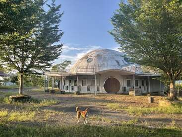Ein brauner Hund steht vor einem kuppelförmigen, verwitterten Gebäude mit runden Türen. Bäume rahmen die Szene ein, und das Sonnenlicht sorgt für eine friedliche, ländliche Atmosphäre.
