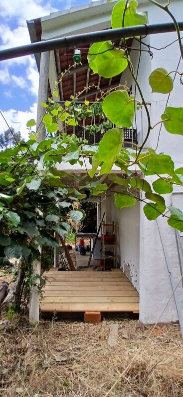 Una pequeña casa de paredes blancas, rodeada de frondosas enredaderas verdes, cuenta con una cubierta de madera en construcción, situada en un entorno exterior natural y cubierto de hierba.