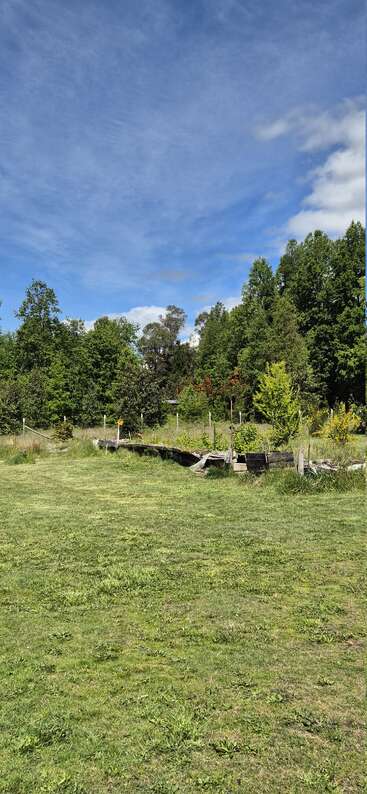 Eine grasbewachsene Wiese unter einem weiten blauen Himmel, gesäumt von üppig grünen Bäumen. Hölzerne Gartenbeete säumen den Rand, umgeben von lebendiger, sonnenbeschienener Vegetation und Natur.