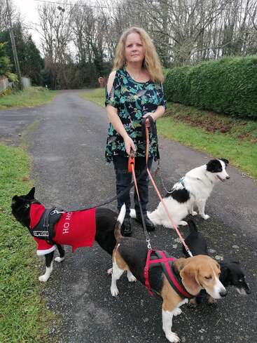 Una mujer está parada en una calle tranquila, sujetando las correas de cuatro perros. Uno de los perros lleva un jersey rojo con la inscripción «Ho Ho Ho». Están rodeados de árboles y arbustos.