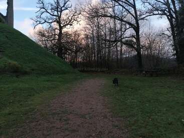 Un sinuoso camino de tierra atraviesa una zona cubierta de hierba bordeada por árboles sin hojas al atardecer. Un perro solitario explora los alrededores, mientras que cerca hay un banco de picnic.