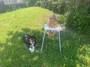 Ein Baby in einem Hochstuhl, das eine Mütze und ein gelbes Hemd trägt, sitzt in einem sonnigen Garten. Ein fröhlicher schwarz-weißer Hund liegt ganz in der Nähe.