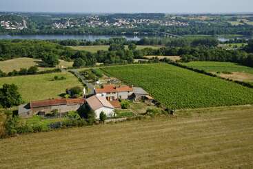 Das Bild zeigt eine ruhige, ländliche Landschaft mit einem Haus, einem Weinberg und einer Brücke über einen Fluss, während im Hintergrund eine Stadt unter einem klaren Himmel zu sehen ist.