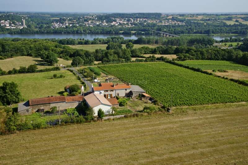 Das Bild zeigt eine ruhige, ländliche Landschaft mit einem Haus, einem Weinberg und einer Brücke über einen Fluss, während im Hintergrund eine Stadt unter einem klaren Himmel zu sehen ist.