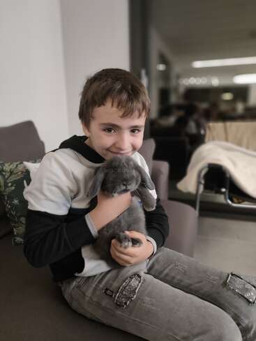 Un niño sonriente está sentado en un sofá con un peludo conejo gris en brazos. El fondo es un salón acogedor y moderno con una iluminación tenue.