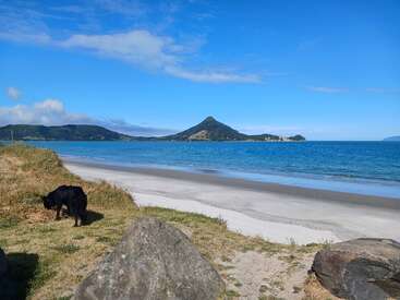 A beautiful coastal scene with turquoise water, sandy beach, grassy area, and large rocks. A black dog sniffs near the shore. A mountain rises in the distance.