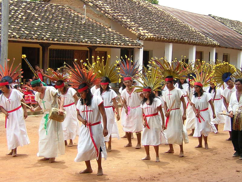 help-us-on-our-wild-cacao-amazon-estate-in-beni-bolivia