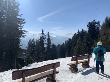 A person in winter gear stands near snowy benches, surrounded by pine trees, gazing at beautiful distant mountain peaks under a bright, clear blue sky.