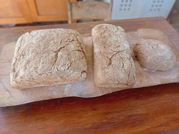 Três pães caseiros rústicos estão sobre uma tábua de madeira. Os pães têm formatos e tamanhos diferentes, com crostas marrons ásperas e levemente rachadas.