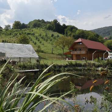 A imagem retrata uma paisagem rural serena com um lago, uma casa de madeira com telhado vermelho e uma estufa, cercada por uma vegetação exuberante e colinas.