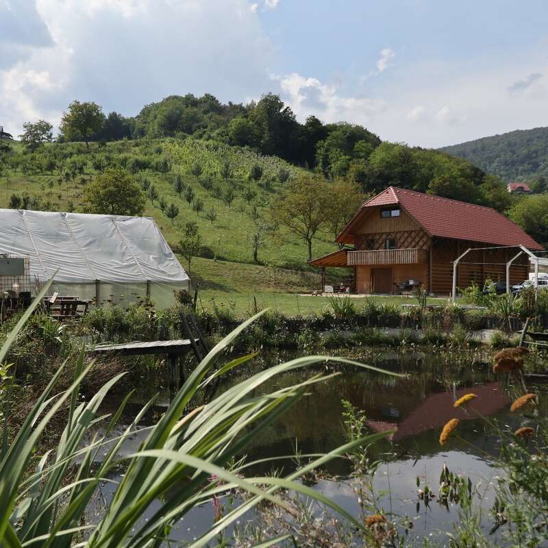 L'image représente un paysage rural serein avec un étang, une maison en bois au toit rouge et une serre, entourés de verdure luxuriante et de collines ondulantes.