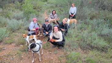 Seis personas y seis perros posan juntos en un sendero rocoso, en una zona verde y boscosa. Todos parecen felices, disfrutando de una excursión por la naturaleza.