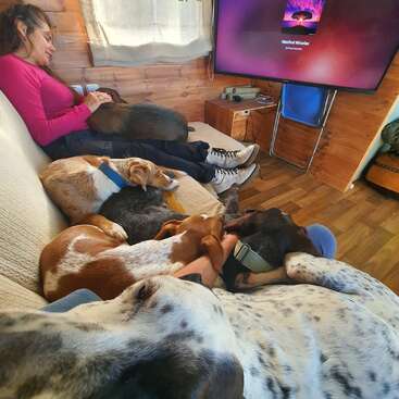 Una mujer descansa en un cómodo sofá rodeada de varios perros acurrucados a su alrededor, todos durmiendo plácidamente. El ambiente es tranquilo, con paredes de madera y la televisión poniendo música relajante.