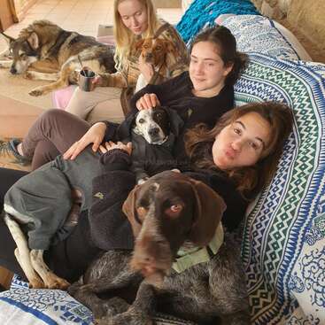 Tres mujeres descansan en un sofá con cuatro perros, disfrutando de un momento acogedor y agradable en casa. El ambiente es cálido, tranquilo y está lleno de camaradería.