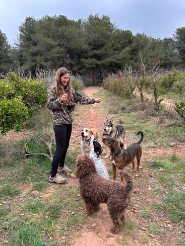 Una mujer está de pie en un camino de tierra, rodeada de cinco perros felices, disfrutando del aire libre. Los árboles y los arbustos bordean el sendero, creando una escena tranquila y natural.