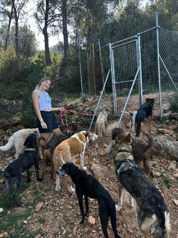 Una mujer sonriente está de pie al aire libre sobre un terreno rocoso, rodeada de muchos perros de diferentes razas y tamaños. Sostiene varias correas junto a una verja, con árboles a sus espaldas.