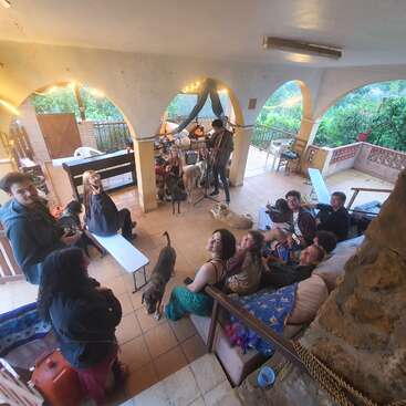 A group of people and several dogs gather in a cozy, covered veranda. They sit, relax, and smile in a friendly, welcoming environment surrounded by nature.