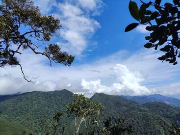 Des montagnes verdoyantes s'étendent à perte de vue sous un ciel d'un bleu éclatant parsemé de nuages blancs cotonneux. Les branches des arbres encadrent ce paysage naturel à couper le souffle, empreint de sérénité.