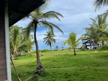 Cette image montre une scène tropicale avec des palmiers, de l'herbe verte, un bâtiment rustique sur la gauche et une structure en bois près de la plage au loin.