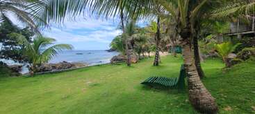 Une herbe verte luxuriante, des palmiers et une chaise longue en bois surplombent une plage tropicale et un rivage rocheux. L'océan calme et le ciel bleu créent une atmosphère sereine.