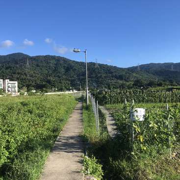 A imagem retrata uma paisagem serena com um caminho de concreto ladeado por uma vegetação exuberante, um poste de luz e uma cadeia de montanhas distante sob um céu azul claro.