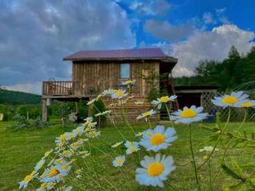 Une cabane rustique en bois se dresse en pleine campagne, entourée d'une pelouse d'un vert éclatant et de marguerites blanches en fleurs, sous un ciel bleu partiellement nuageux avec des arbres au loin.