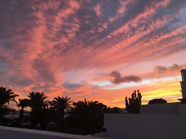 The image depicts a serene sunset scene, featuring a vibrant sky with pink and orange hues, palm trees, and a white wall, evoking a sense of tranquility.
