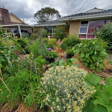 A imagem mostra um jardim vibrante em frente a uma casa, com uma variedade de plantas e flores, e um céu nublado acima.