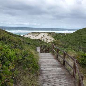 A imagem retrata uma cena costeira serena, com um calçadão de madeira serpenteando por uma vegetação exuberante, levando a uma praia de areia com um vasto oceano e um céu nublado ao fundo.