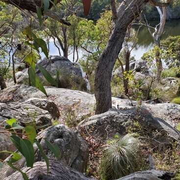 A imagem retrata uma paisagem rochosa serena com árvores, arbustos e gramíneas, tendo como pano de fundo um corpo de água tranquilo, evocando uma sensação de beleza natural.