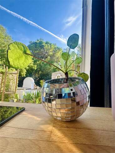 Uma planta verde com folhas redondas está em um vaso de mosaico espelhado brilhante sobre uma mesa de madeira, refletindo a luz do sol. Lá fora, o céu azul e as árvores exuberantes aparecem.