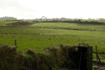L'image représente un vaste champ herbeux avec une clôture au premier plan et une colline au loin, sur fond de ciel gris.