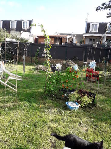 Un jardin ensoleillé à l'arrière d'une maison, avec de l'herbe verte, des parterres de fleurs, des moulins à vent blancs, des structures de jardin, quelques chaises éparpillées, des maisons en arrière-plan et un chat noir qui se promène.