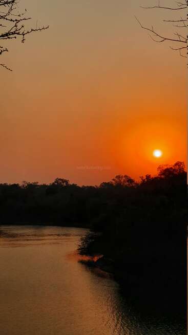 Un coucher de soleil orange vif jette une lumière chaude sur une rivière tranquille, des silhouettes d'arbres et des branches dénudées, créant une scène naturelle paisible et sereine.